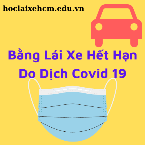 bang-lai-xe-het-han-vi-dich-covid-19